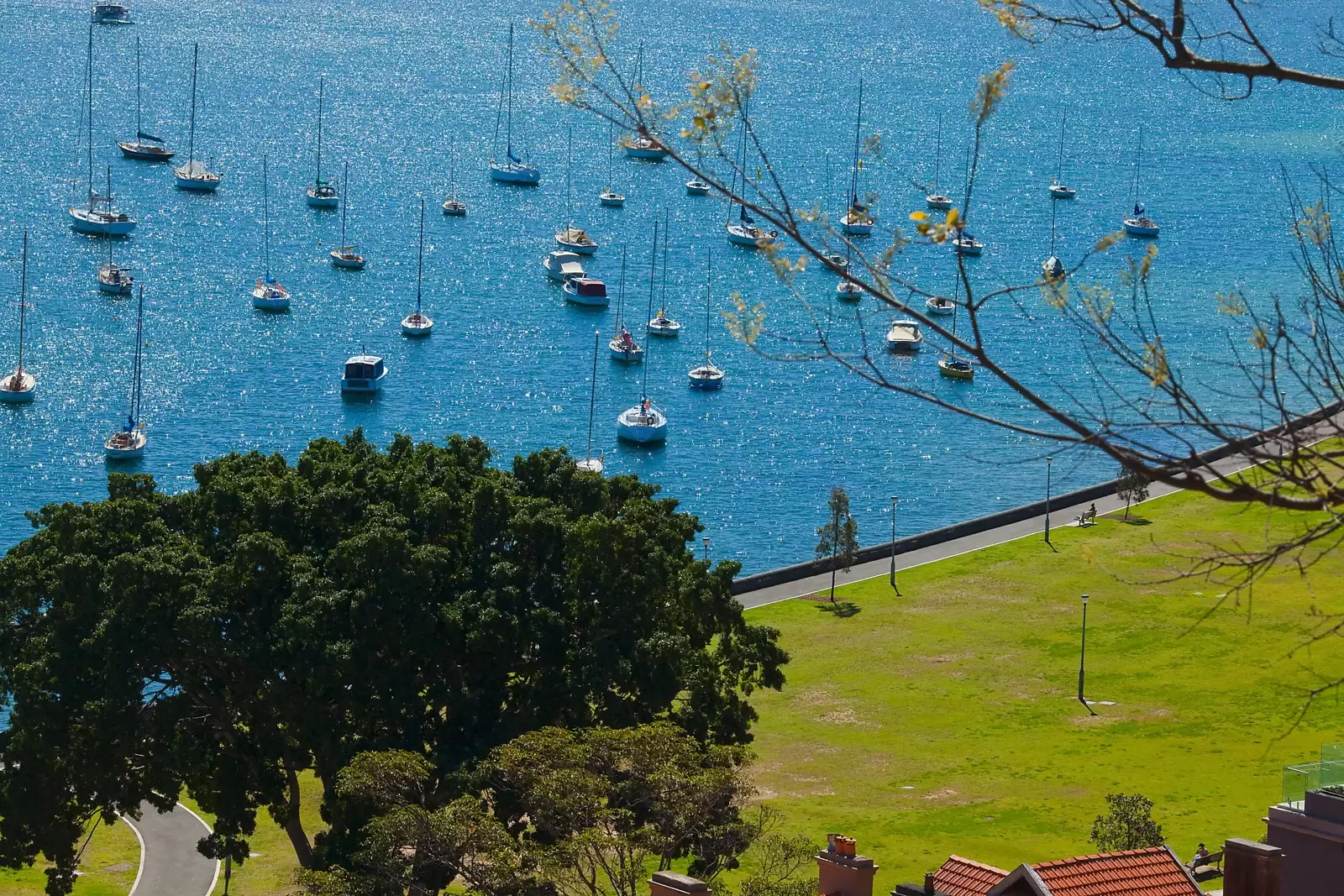 Darling Point Sold by Sydney Sotheby's International Realty - image 23