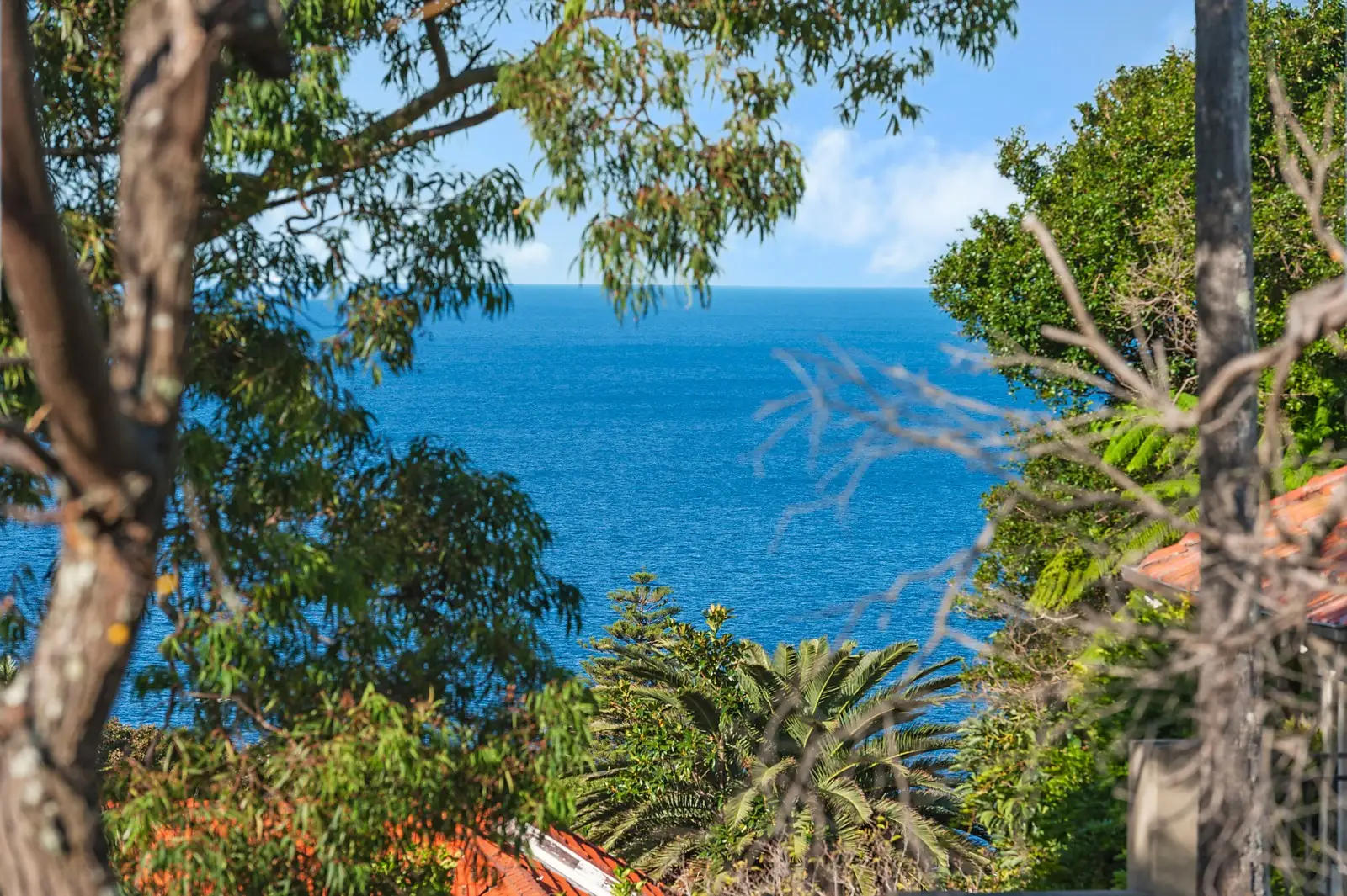 8 Girilang Avenue, Vaucluse Sold by Sydney Sotheby's International Realty - image 1