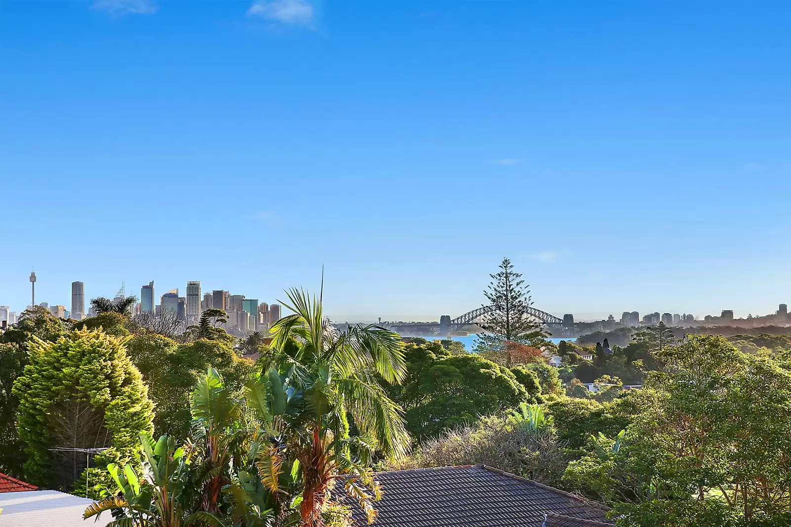 14 Village Lower Road, Vaucluse Sold by Sydney Sotheby's International Realty - image 14