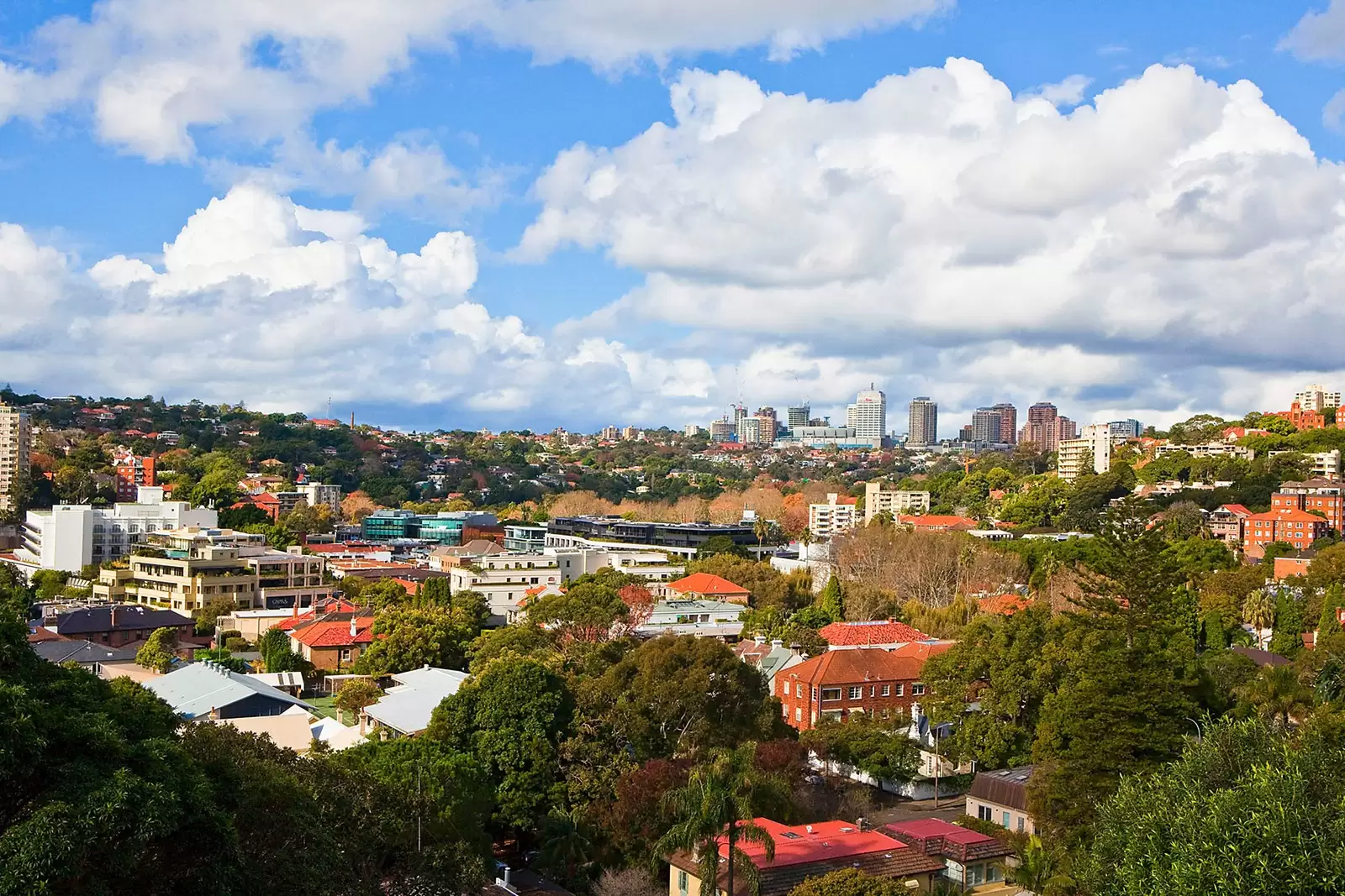 2/4 Marathon Road, Darling Point Sold by Sydney Sotheby's International Realty - image 8