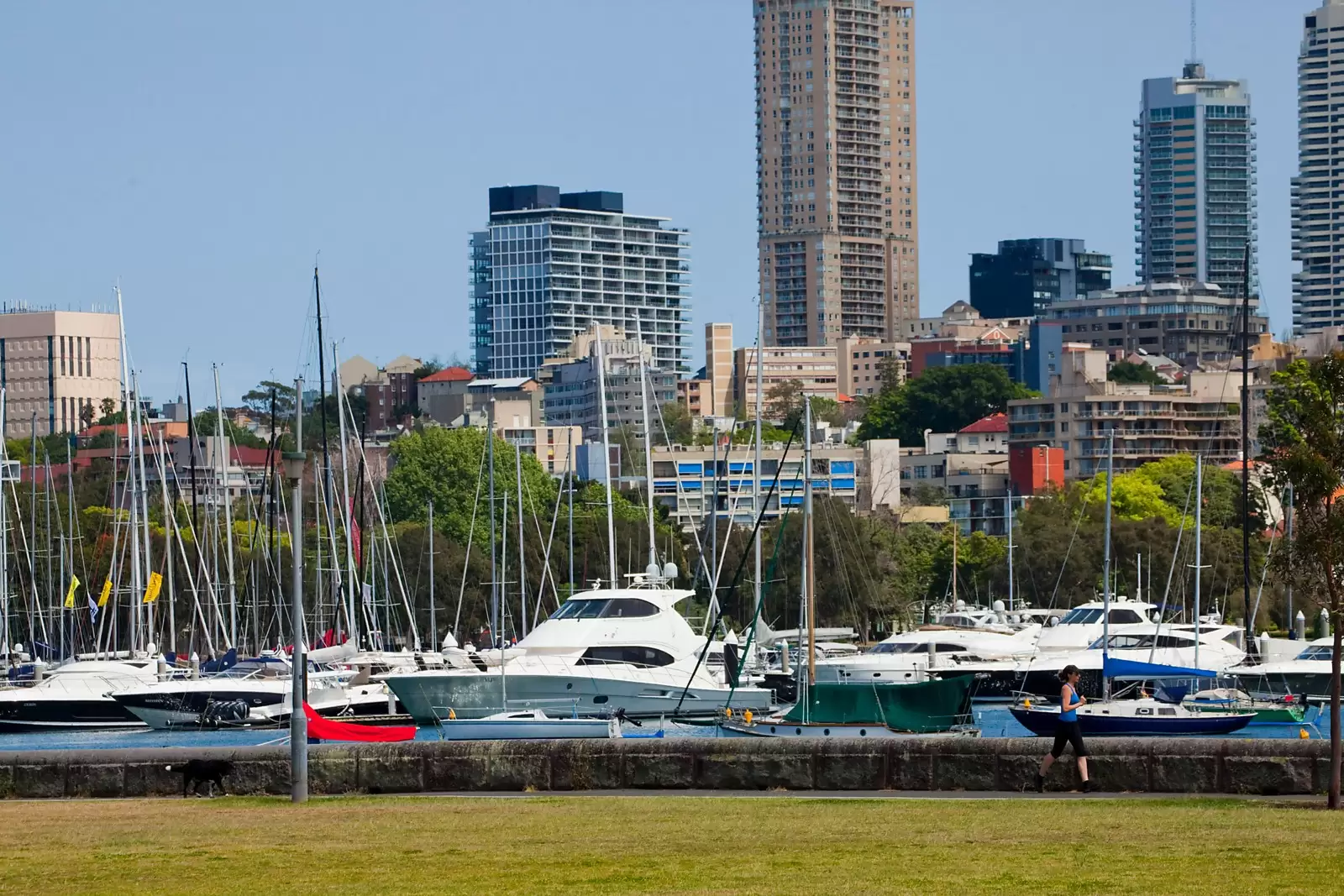 Darling Point Sold by Sydney Sotheby's International Realty - image 15