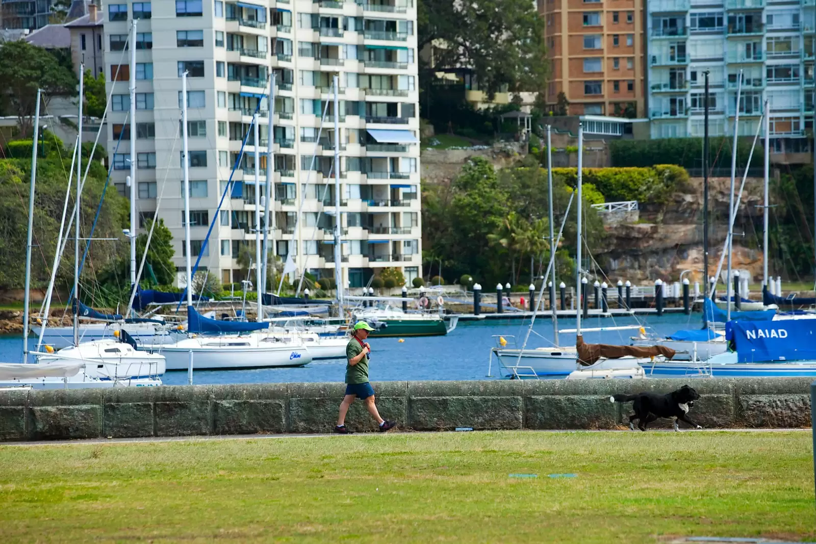 Darling Point Sold by Sydney Sotheby's International Realty - image 13